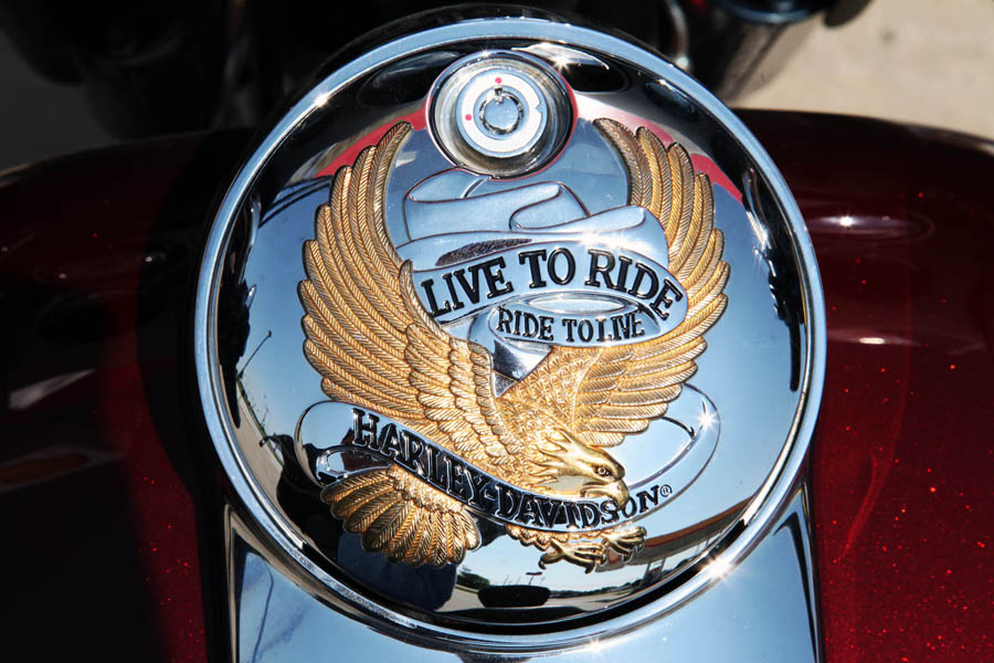 Live to Ride and Ride to Live.  I actualy prefer doing that to sitting around in a bar, yammering about it.